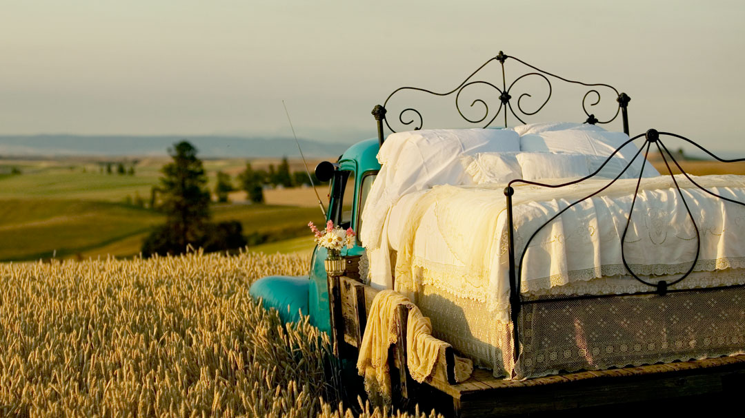 classic truck with cast-iron bed on the back in the wheat fields