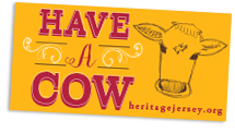 'Have a Cow' bumper sticker