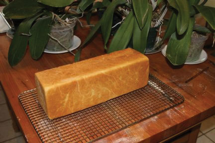 Janet's Sourdough Pullman Loaf