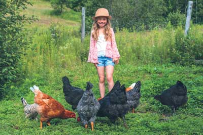 Reese and chickens